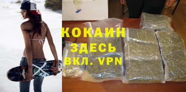 Альфа ПВП Аркадак