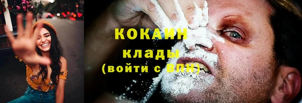 Альфа ПВП Аркадак